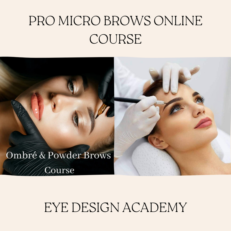 Pro Micro Brows Online Course