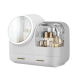 2 in 1 LED Vanity Makeup Mirror Organizer
