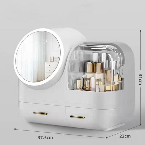 2 in 1 LED Vanity Makeup Mirror Organizer