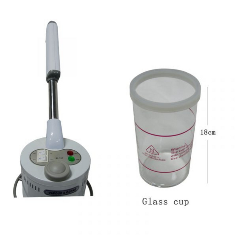 Eye Design Beauty Facial Steamer With Ozone