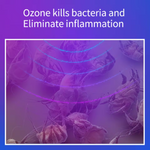 Newest Professional Ozone Plasma Pen