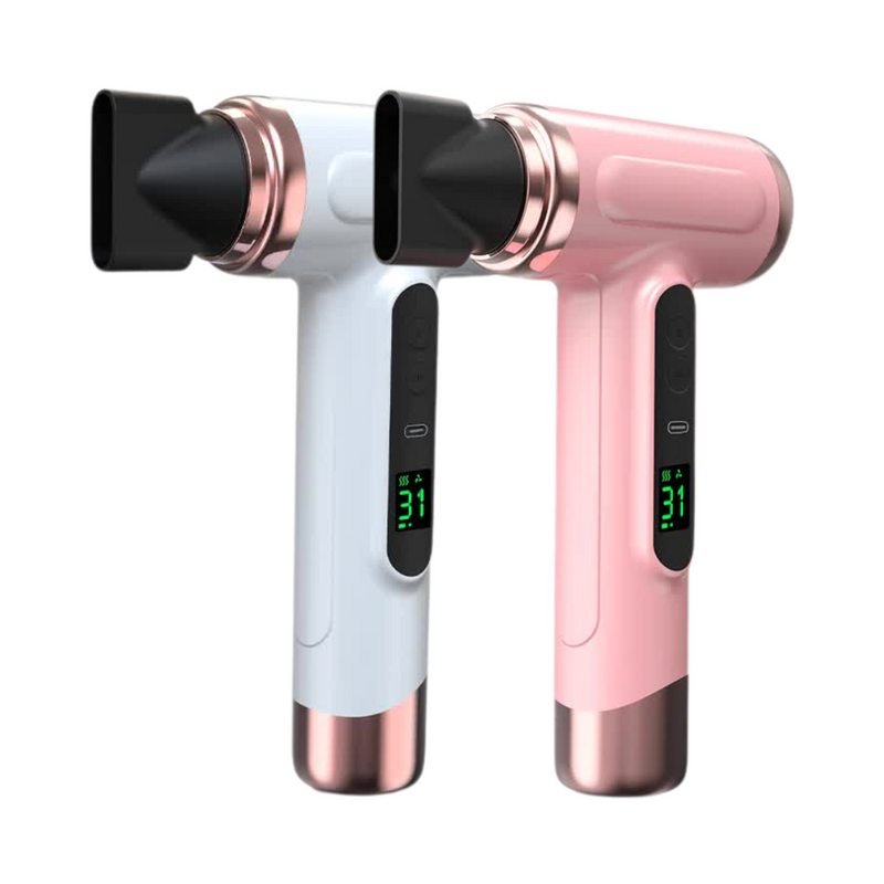 Premium Cordless Ionic Hair Dryer