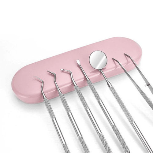 Stainless Steel Dental Care Tools Set
