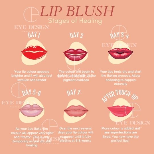 Lip Blush Healing Stages